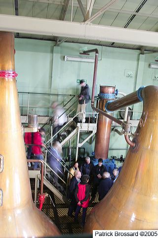 hu2p9929.jpg