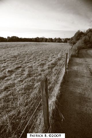 img_0544.jpg