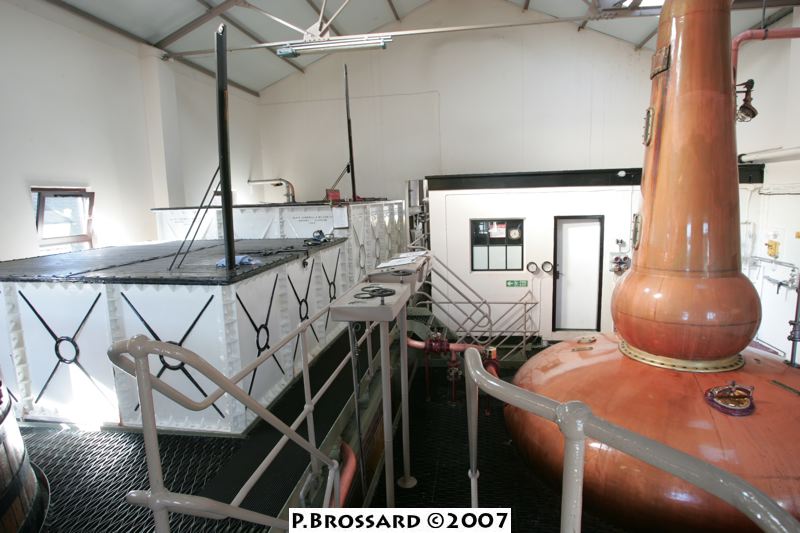 hu2p5955.jpg